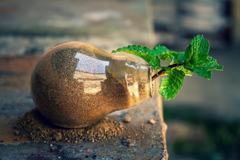 How Green Innovation is Powering a More Sustainable Future